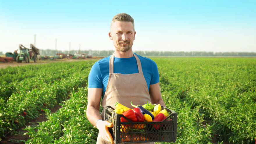 Novi Sad: 22 miliona dinara za podršku mladim poljoprivrednicima