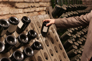 Za regionalne organizacije vinara i vinogradara osigurano šest milijuna kuna