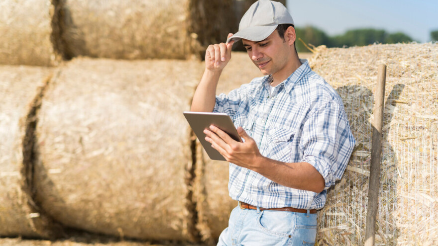 Odrastao u gradu, zavoleo seoski život i napravio prvo digitalno selo