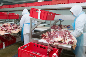 Inspekcija zaplijenila 1.225 kg mesa - zabranjen rad dvjema klaonicama!