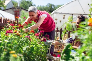 Sezonsko cveće i aromatično bilje - pravilna setva i značaj