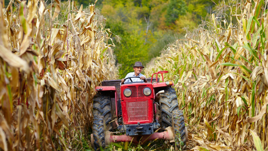 Poljoprivreda je neatraktivno zanimanje - što promijeniti?