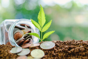 Bespovratno: 800.000 eura za privredne subjekte