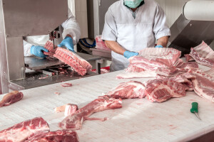 Afrička svinjska kuga u nekim zemljama uzrokovala značajan pad cijene mesa
