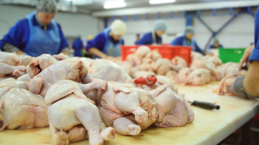 Uvoz mesa punog antibiotika iz SAD u Britaniju šteti i EU?