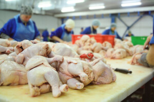 Uvoz mesa punog antibiotika iz SAD u Britaniju šteti i EU: Rješenje je oznaka podrijetla?