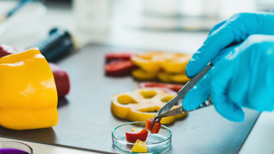 Hrana koju konzumiramo bez ostataka je pesticida ili unutar dozvoljenih granica