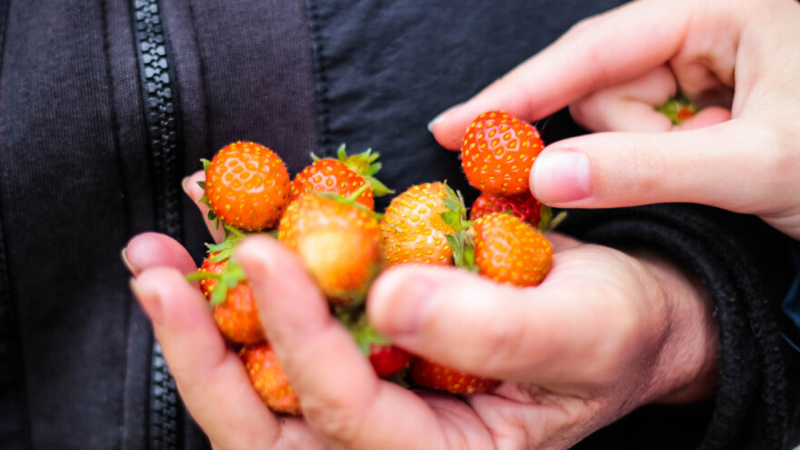 Europski povrćari i voćari složni: 2018. je bila teška godina s mnoštvom neočekivanih obrata