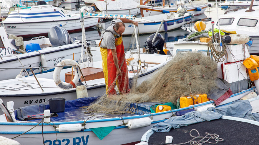 Ribarstvo: Otvoreno savjetovanje za mjeru II.1. Inovacije