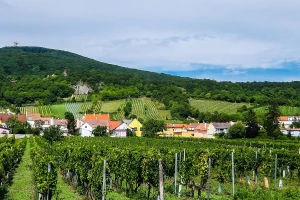 Izgradnjom gasovoda Turski tok, uništeno na stotine imanja bez obaveštenja