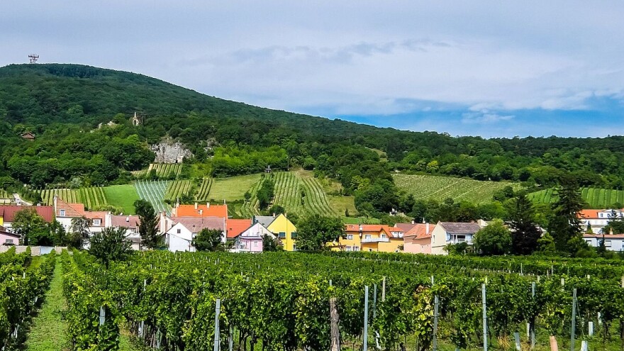 Izgradnjom gasovoda Turski tok, uništeno na stotine imanja bez obaveštenja