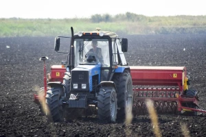 Mnogi ratari neće bacati đubrivo, na pola njiva tavansko seme pšenice?