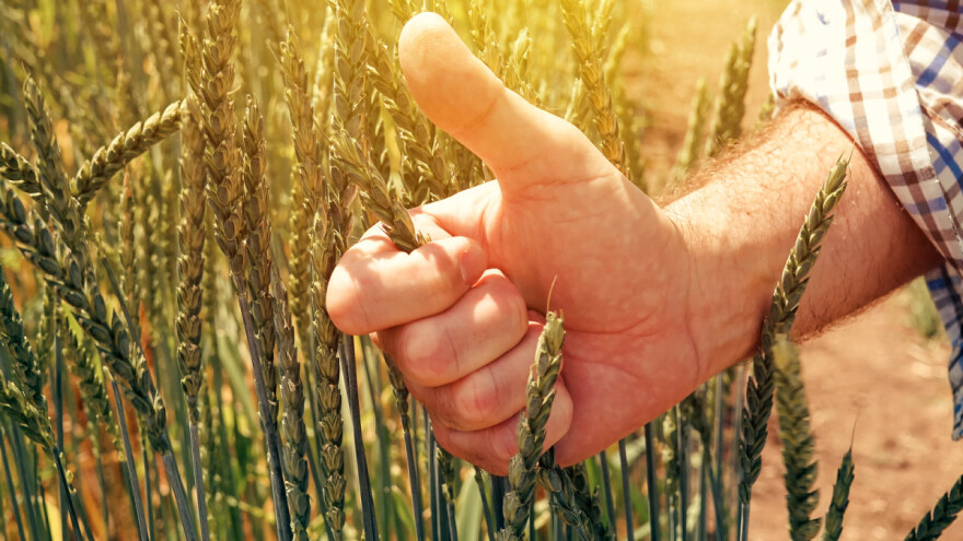 Od 1. rujna kreću najpovoljniji krediti za poljoprivrednike, kamata za proizvođače mlijeka 0,1%!