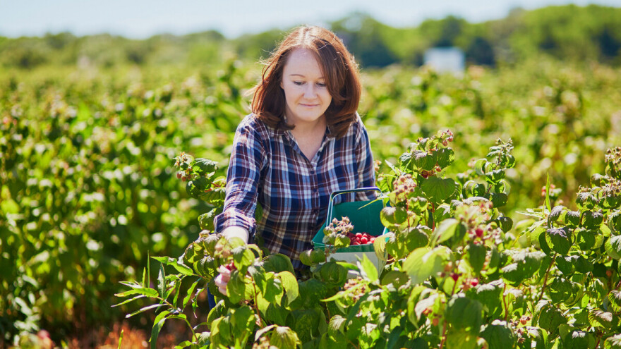 SECPA se pridružuje kampanji "Zaštitimo bilje, zaštitimo život"