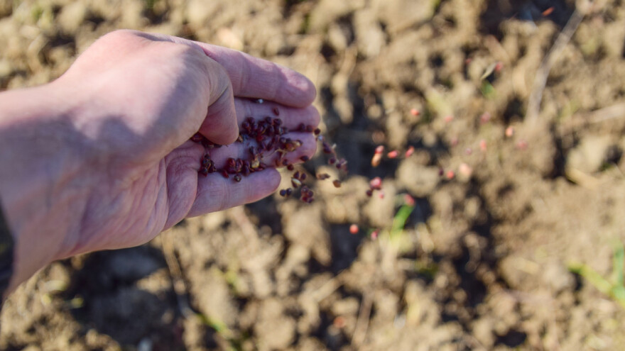 Prijedlog Pravilnika o upisu dobavljača, laboratorija i uzorkivača sjemena i sadnica