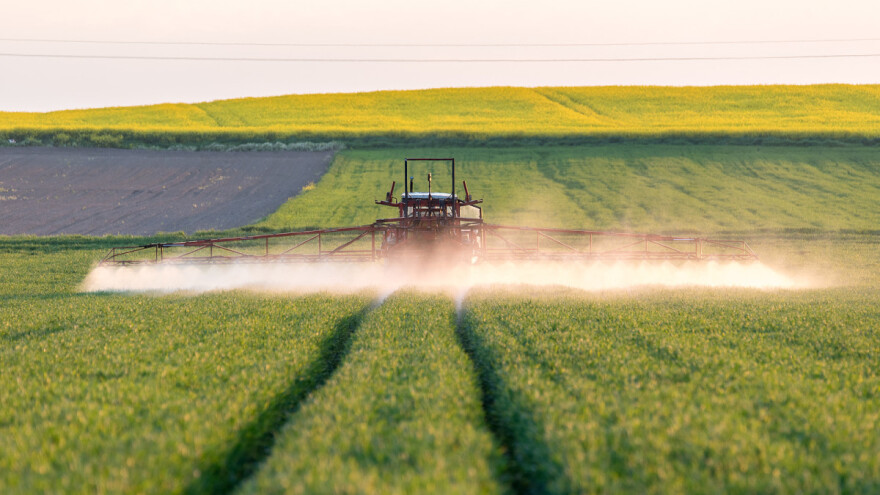 Izum koji može da smanji upotrebu pesticida - razlikuje štetne insekte od korisnih