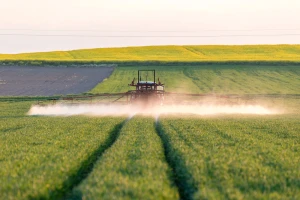 Izum koji može smanjiti upotrebu pesticida - razlikuje štetne insekte od korisnih