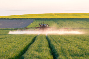 Izum koji može smanjiti upotrebu pesticida - razlikuje štetne insekte od korisnih