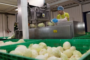 Otvoren konkurs za firme prehrambene industrije Pomoravlja