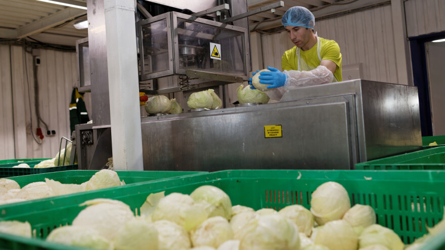 Otvoren konkurs za firme prehrambene industrije Pomoravlja