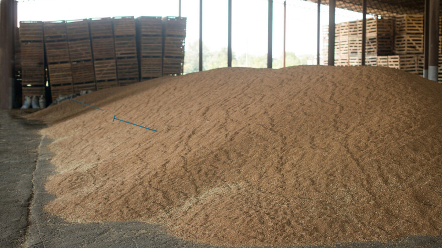 FAO i EBRD: Smernice za prevenciju zaraze virusom korona u lancu snabdevanja žitom