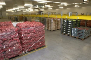 Srbija godišnje uveze 40.000 tona krompira i 400 tona belog luka