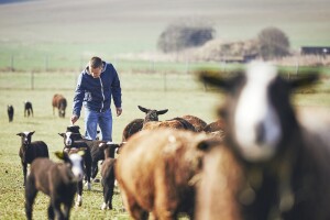 Produžen rok za prijavu projekta vrijednog milion eura