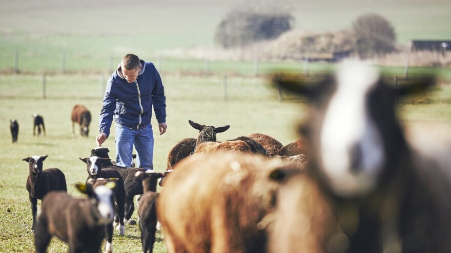 Produžen rok za prijavu projekta vrijednog milion eura