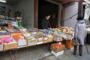 Zadruge grade bolnice, prodavnice, dogovaraju otkupne cijene – u Japanu