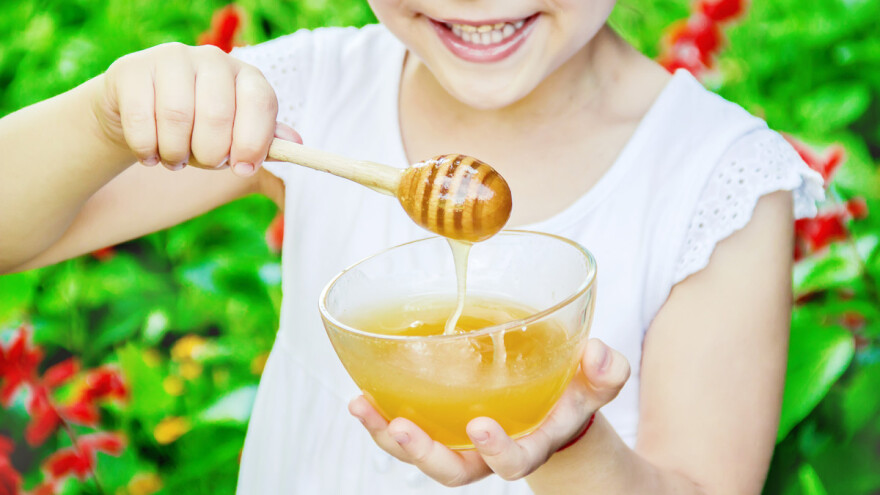 Tolušić: kupujmo med s hrvatskih pčelinjaka zapakiran u nacionalnu staklenku