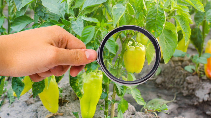 Usvojena Rezolucija o strožem ispitivanju i odobravanju pesticida!