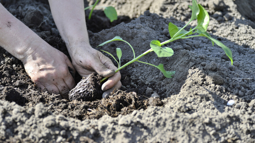 Proljetna dušična gnojidba zahtijeva najbolji ekološki proizvod!