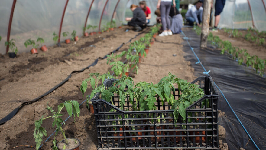 Mladim poljoprivrednicima blizu šest miliona dinara