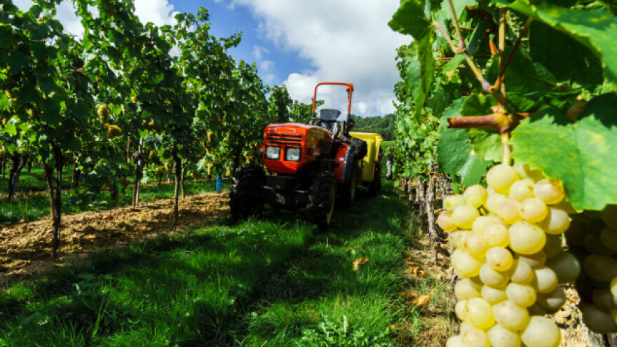 Vrijeme je osnovne gnojidbe trajnih nasada