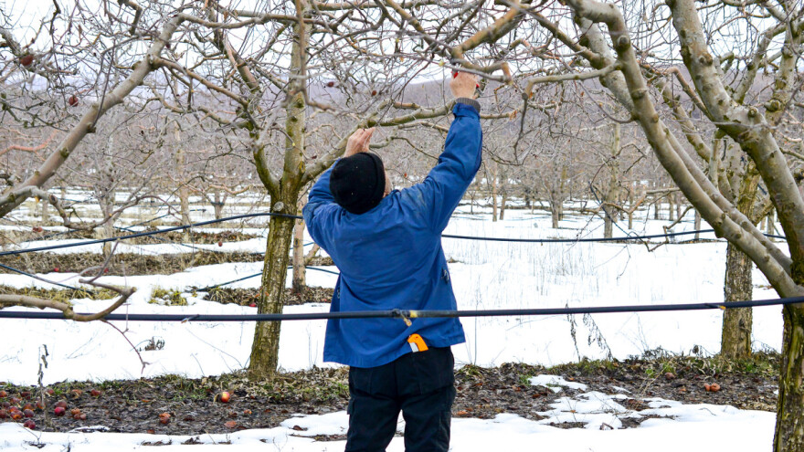 Sutra zahlađenje, od petka ledeni dani