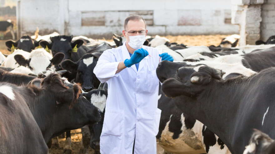 Razmatrali program poljoprivrednih poticaja, još se nisu izjasnili