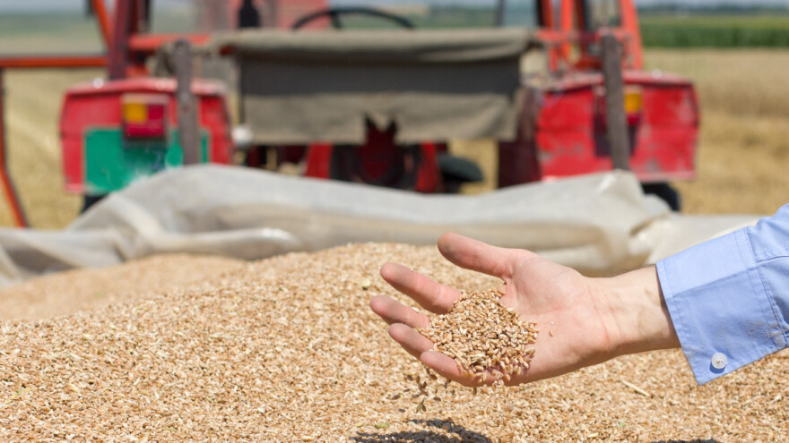 DZS: Prosječne cijene u poljoprivredi pale za 3,1%, mlijeko i svinje zabilježili porast