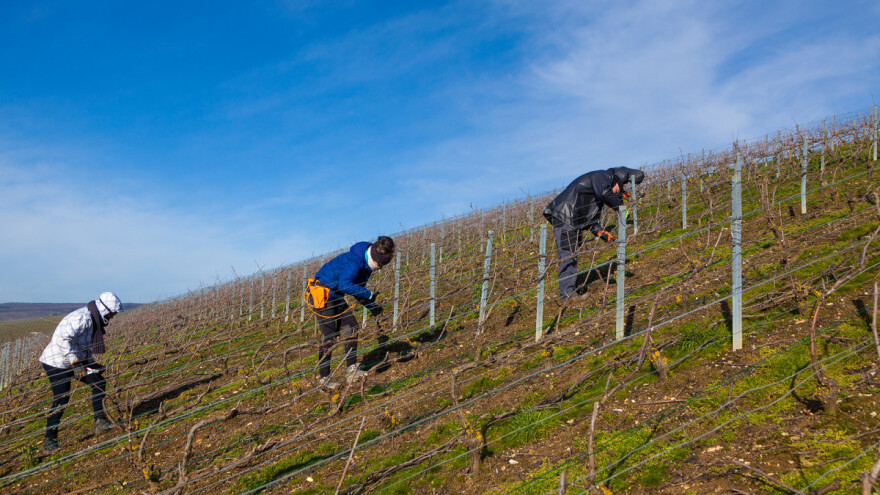 Nedostak radne snage: Da li će se kolo sreće okrenuti?