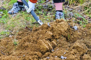 Kombinacija za biodezinfekciju zemljišta - poboljšava i prinose