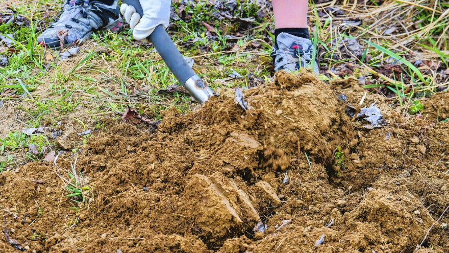 Kombinacija za biodezinfekciju tla - poboljšava i prinose