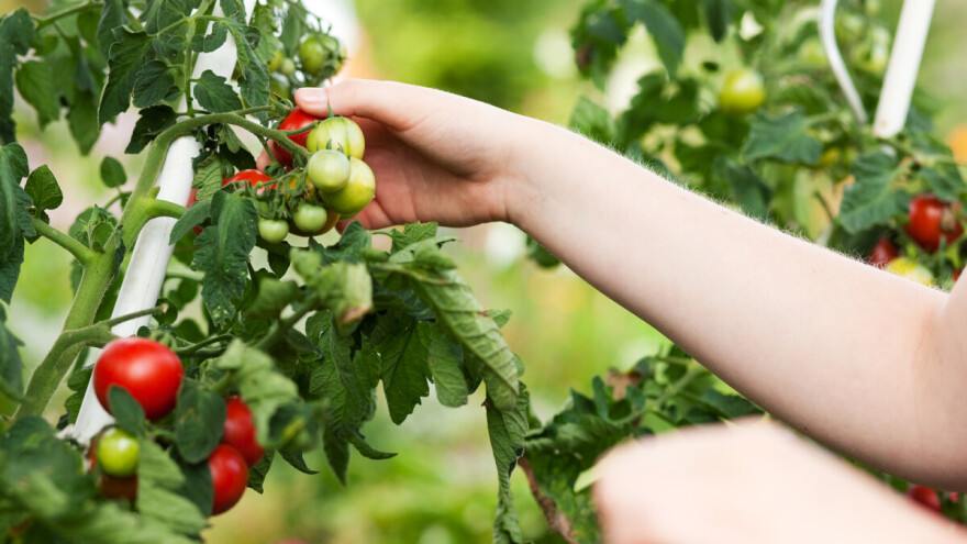 2,84 miliona KM za subvencije maloj privredi i zapošljavanju mladih