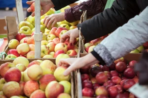 Najviše voća i povrća jede se u Irskoj, a najmanje u Rumuniji - kako stoji region?