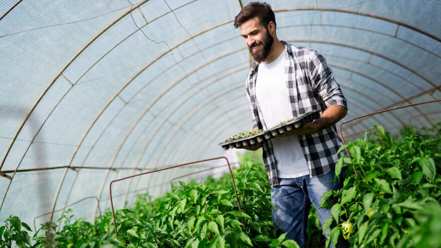 Nastavak stipendiranja studenata na području Slavonije, Baranje i Srijema