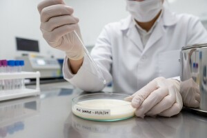 BiH ograničava uvoz mlijeka