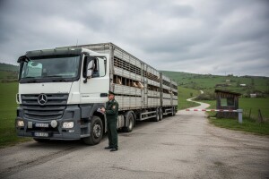 BiH zabranila uvoz peradi, goveda i ribe iz Hrvatske