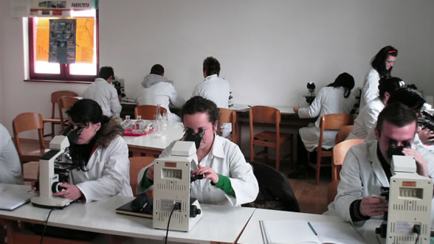 Bihać ima kadar za francusku šumarsku kompaniju?