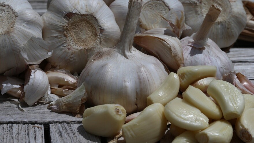 Ilegalni, kineski bijeli luk kriv za smiješno niske cijene tog povrća u Španjolskoj?