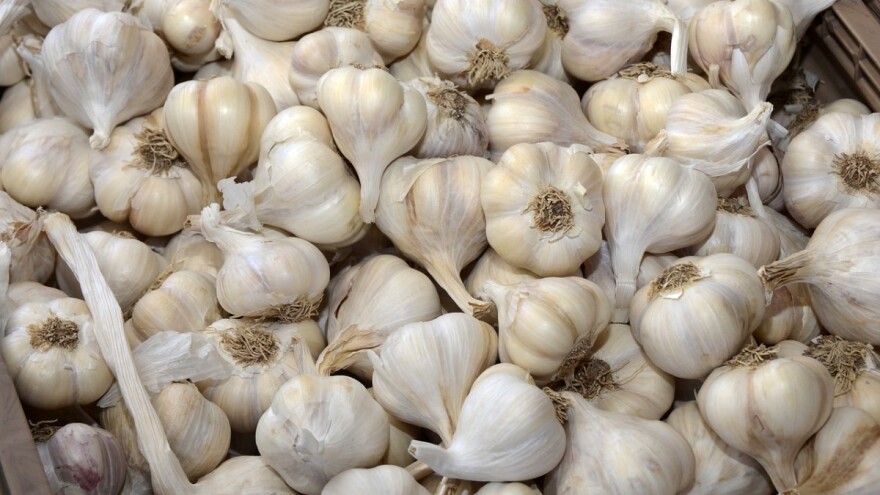 Manja potražnja za kineskim češnjakom u zemljama EU?