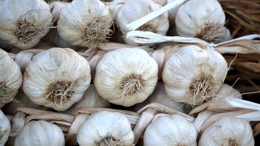 Domaći bijeli luk ide, ali je strani jeftiniji