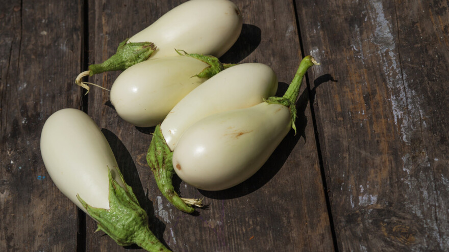 Koja je razlika između bijelog i ljubičastog patlidžana?